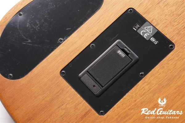 Acoustasonic Player Telecaster - Butterscotch Blonde